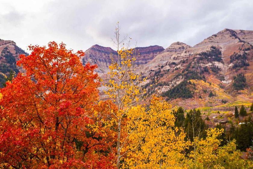Cottage On The Stream Sundance, Utah Exterior foto